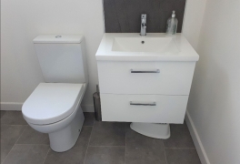 New wall-hung basin and rimless WC